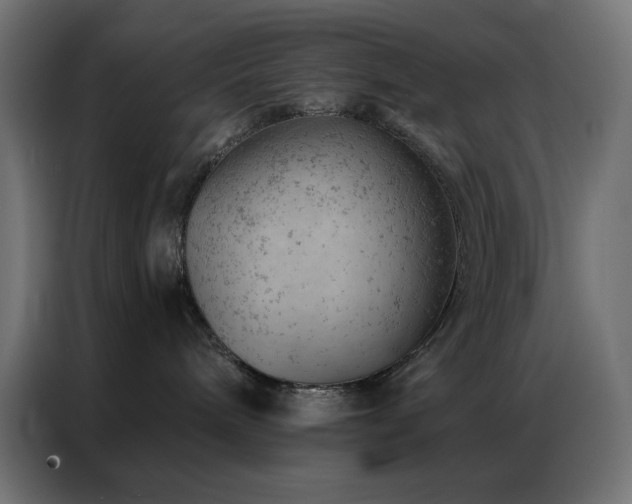 X0000087000240200704161529