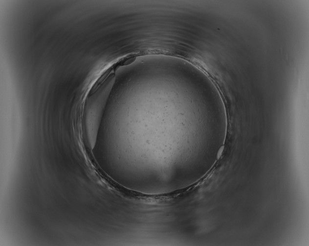 X0000087000241200704161529