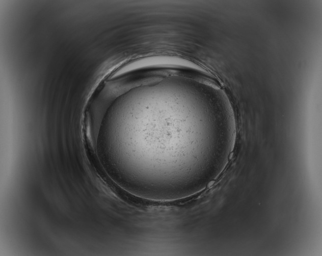 X0000087000242200704161529