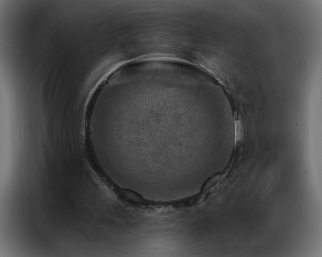 X0000087000243200704161529
