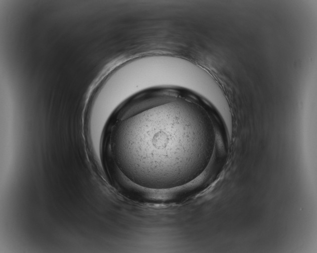 X0000087000244200704161529