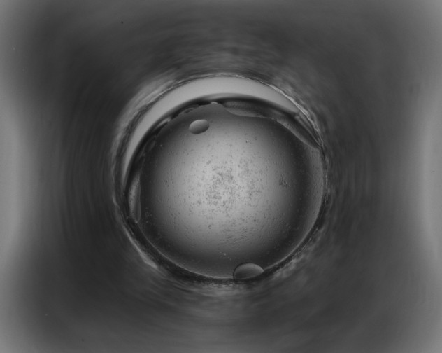 X0000087000245200704161529