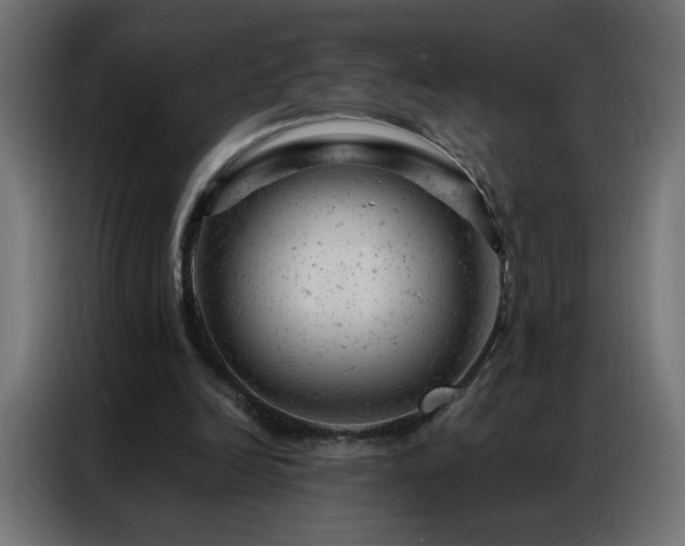 X0000087000246200704161529