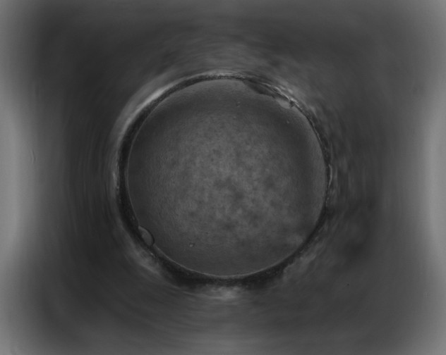 X0000087000247200704161529