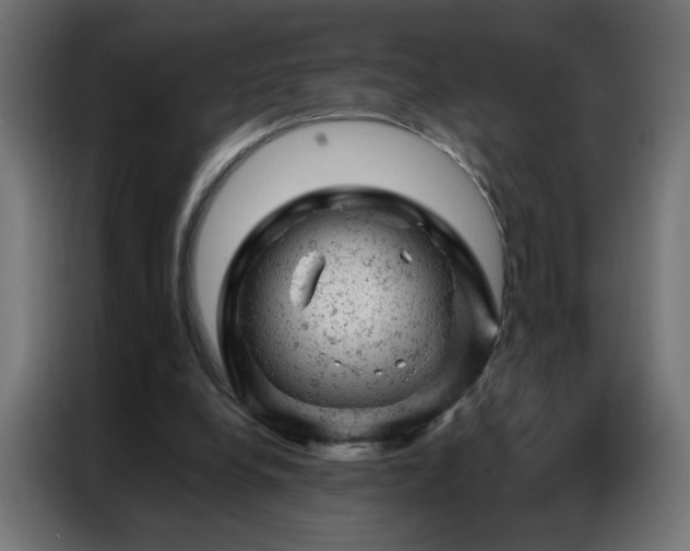 X0000087000248200704161529