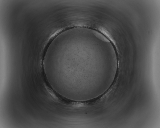 X0000087000249200704161529