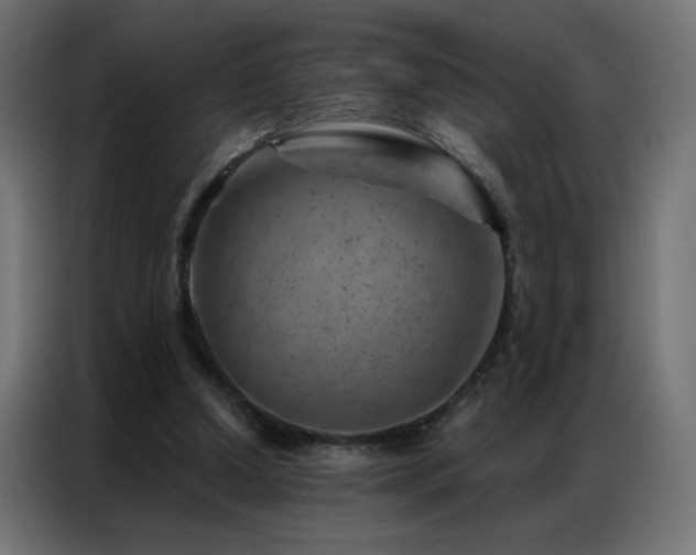 X0000087000250200704161529