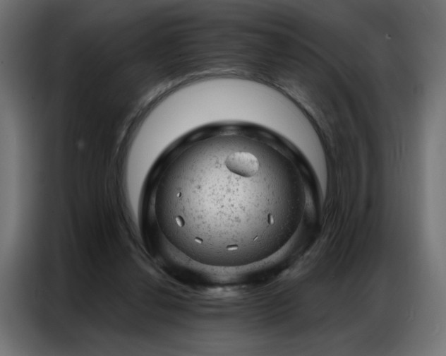X0000087000252200704161529