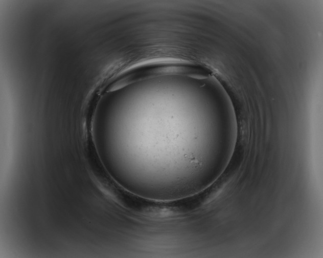 X0000087000254200704161529