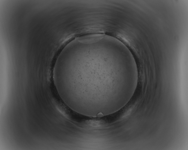 X0000087000255200704161529