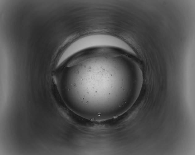 X0000087000256200704161529