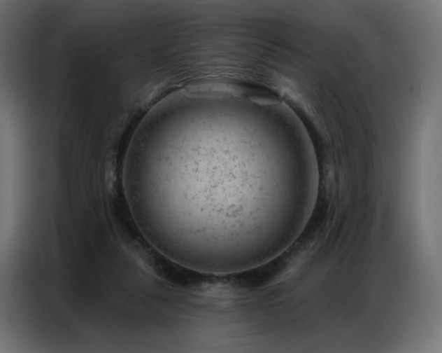 X0000087000259200704161529