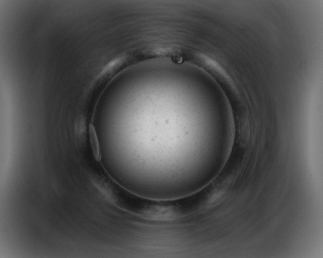 X0000087000260200704161529