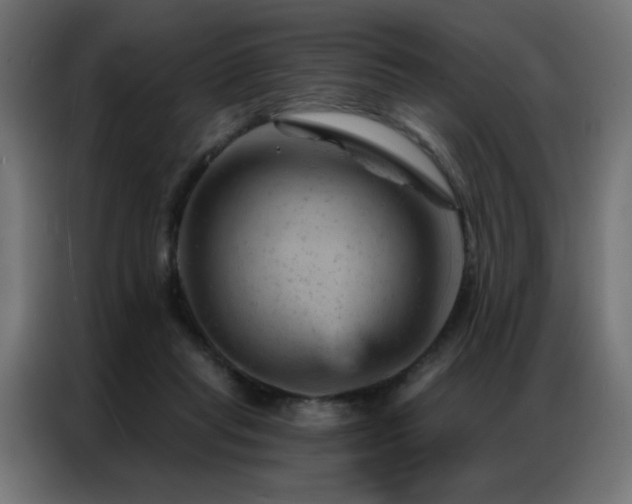 X0000087000261200704161529