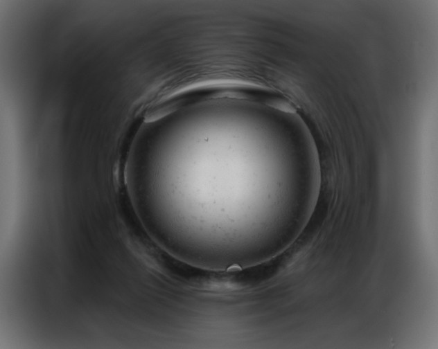 X0000087000262200704161529