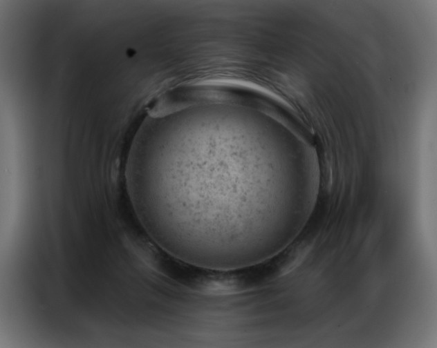 X0000087000263200704161529