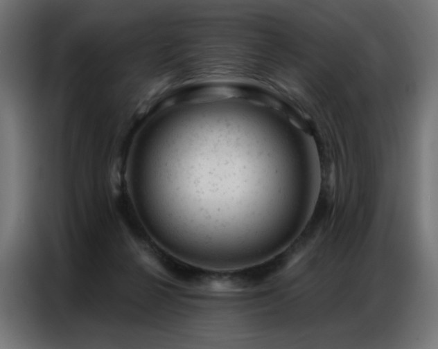 X0000087000264200704161529