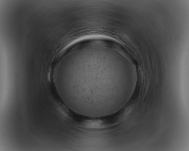 X0000087000266200704161529