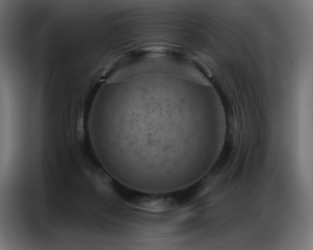 X0000087000267200704161529