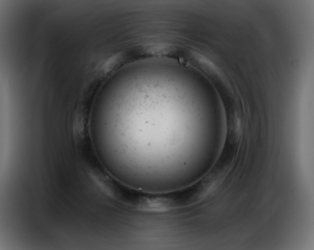 X0000087000268200704161529