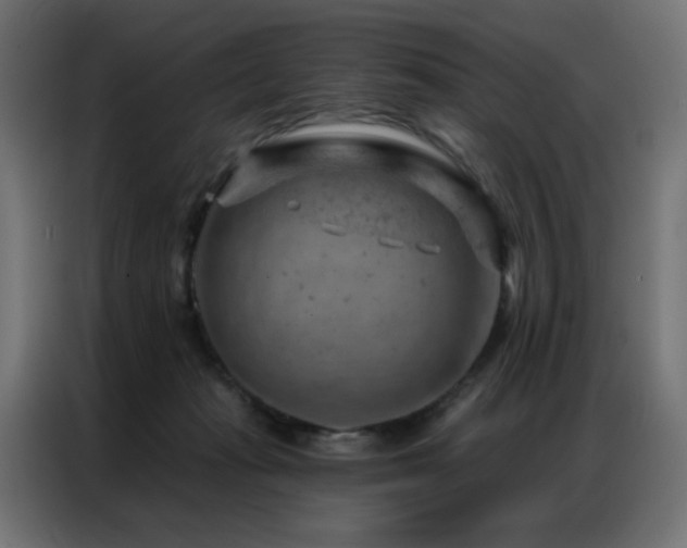 X0000087000269200704161529