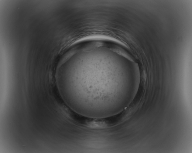 X0000087000270200704161529
