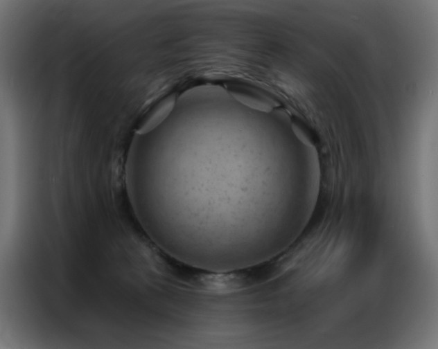 X0000087000273200704161529
