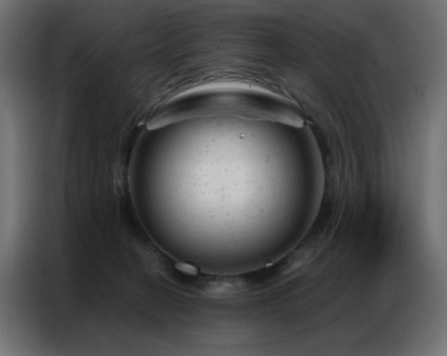 X0000087000274200704161529