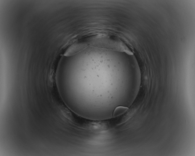 X0000087000275200704161529