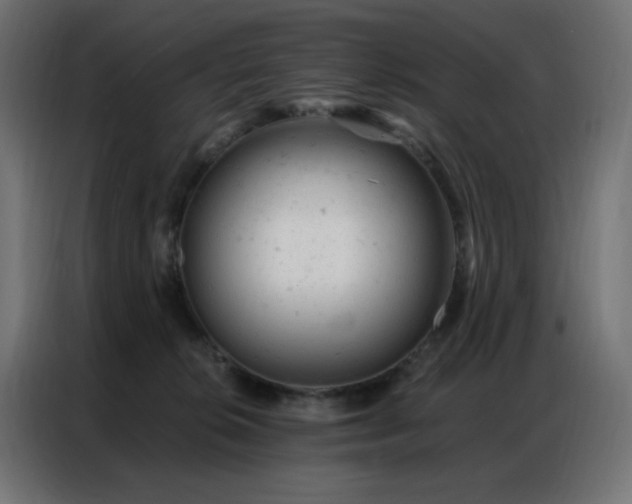 X0000087000276200704161529