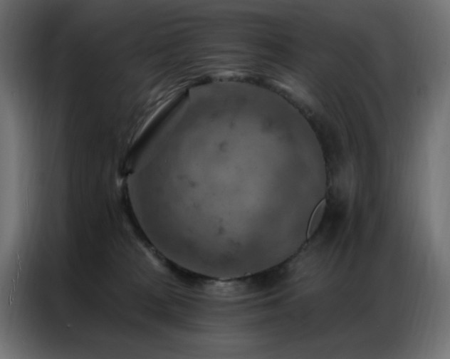 X0000087000277200704161529
