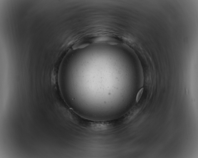 X0000087000282200704161529
