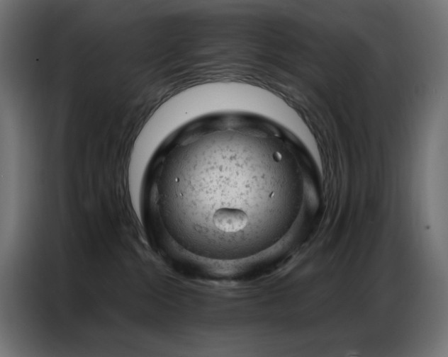 X0000087000284200704161529
