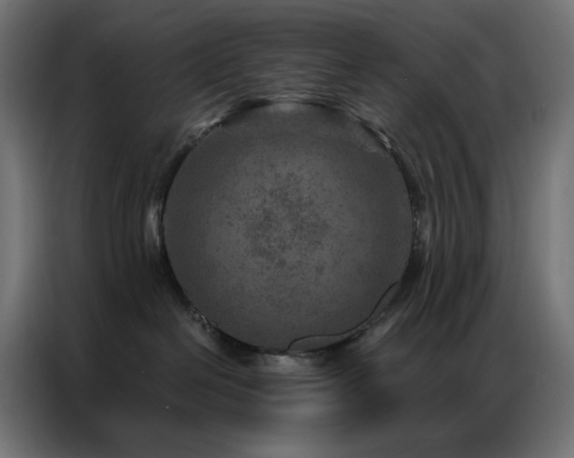 X0000087000286200704161529