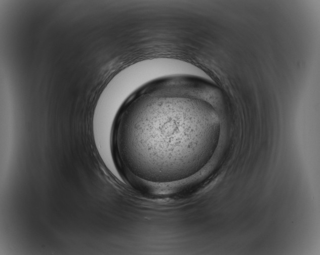 X0000087000288200704161529
