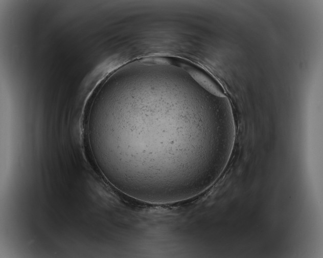 X0000087000290200704161529