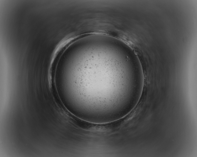 X0000087000294200704161529