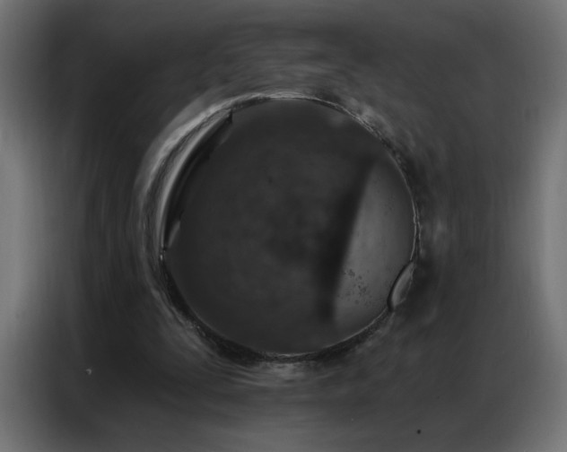 X0000087000295200704161529