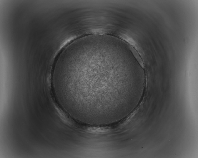 X0000087000297200704161529