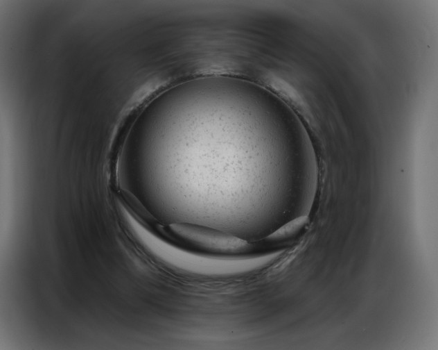 X0000087000298200704161529