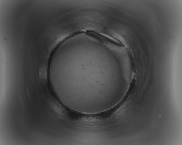 X0000087000299200704161529