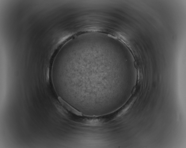 X0000087000301200704161529