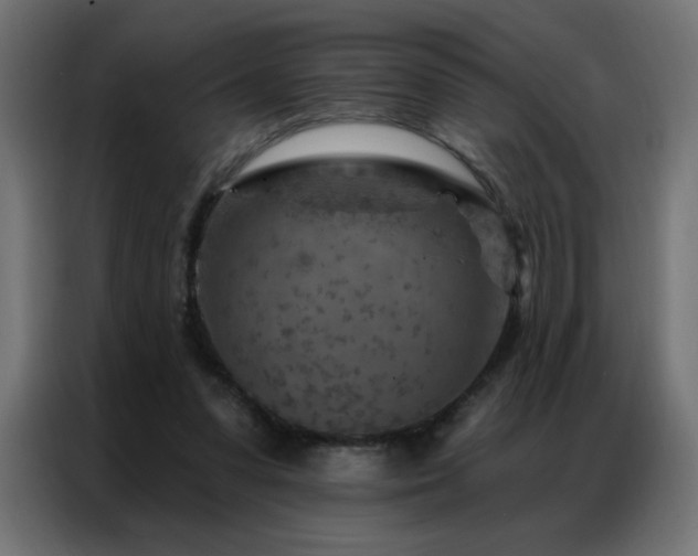 X0000087000303200704161529