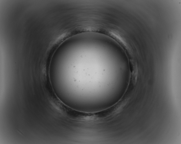 X0000087000306200704161528