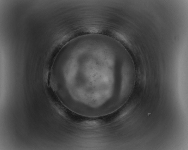 X0000087000307200704161528