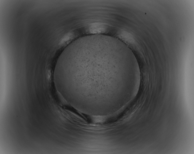X0000087000308200704161528