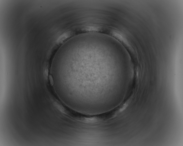 X0000087000309200704161528