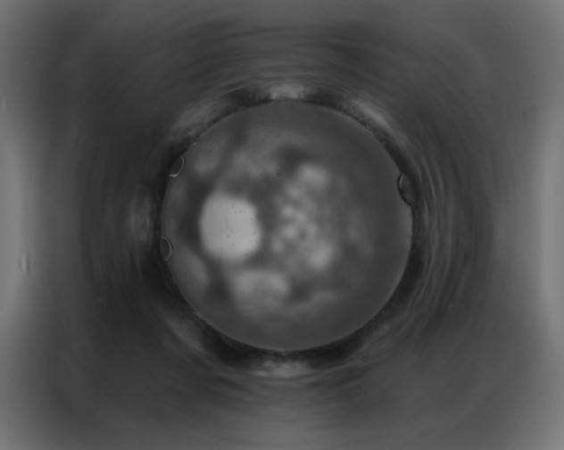 X0000087000311200704161528