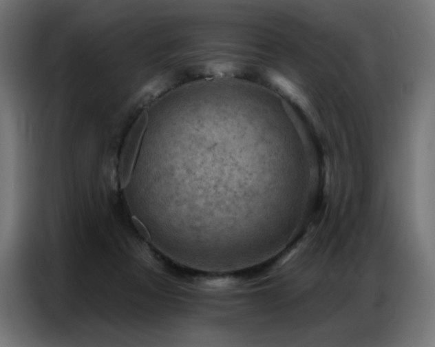 X0000087000313200704161528