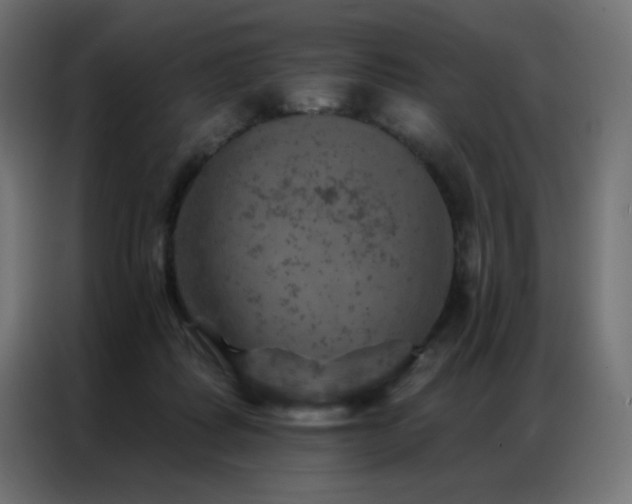 X0000087000315200704161528
